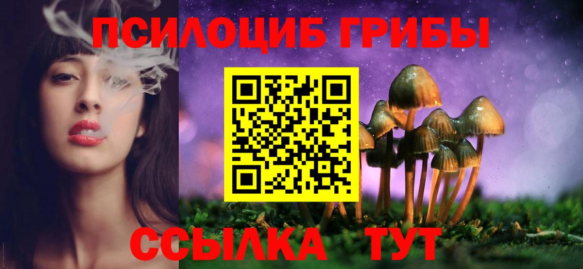 Новотроицк  Псилоцибиновые грибы прущие грибы  Вход с VPN 